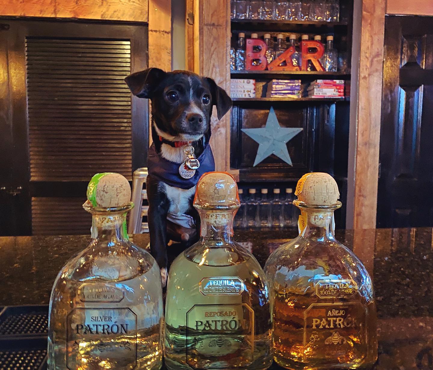 7 Best Cool Bars in Raleigh [2025 June Update]
